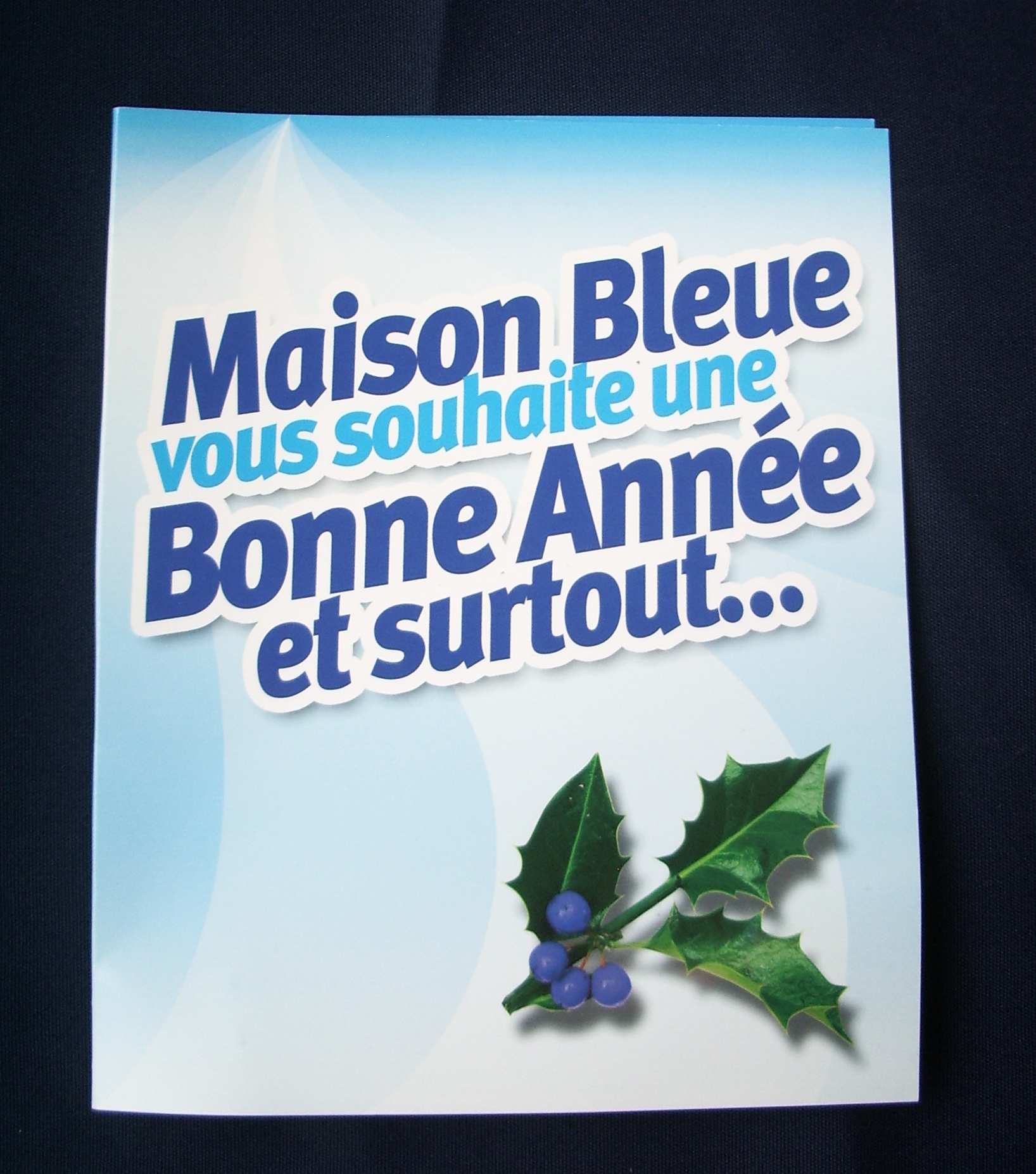 VOEUX MAISON BLEUE 2007