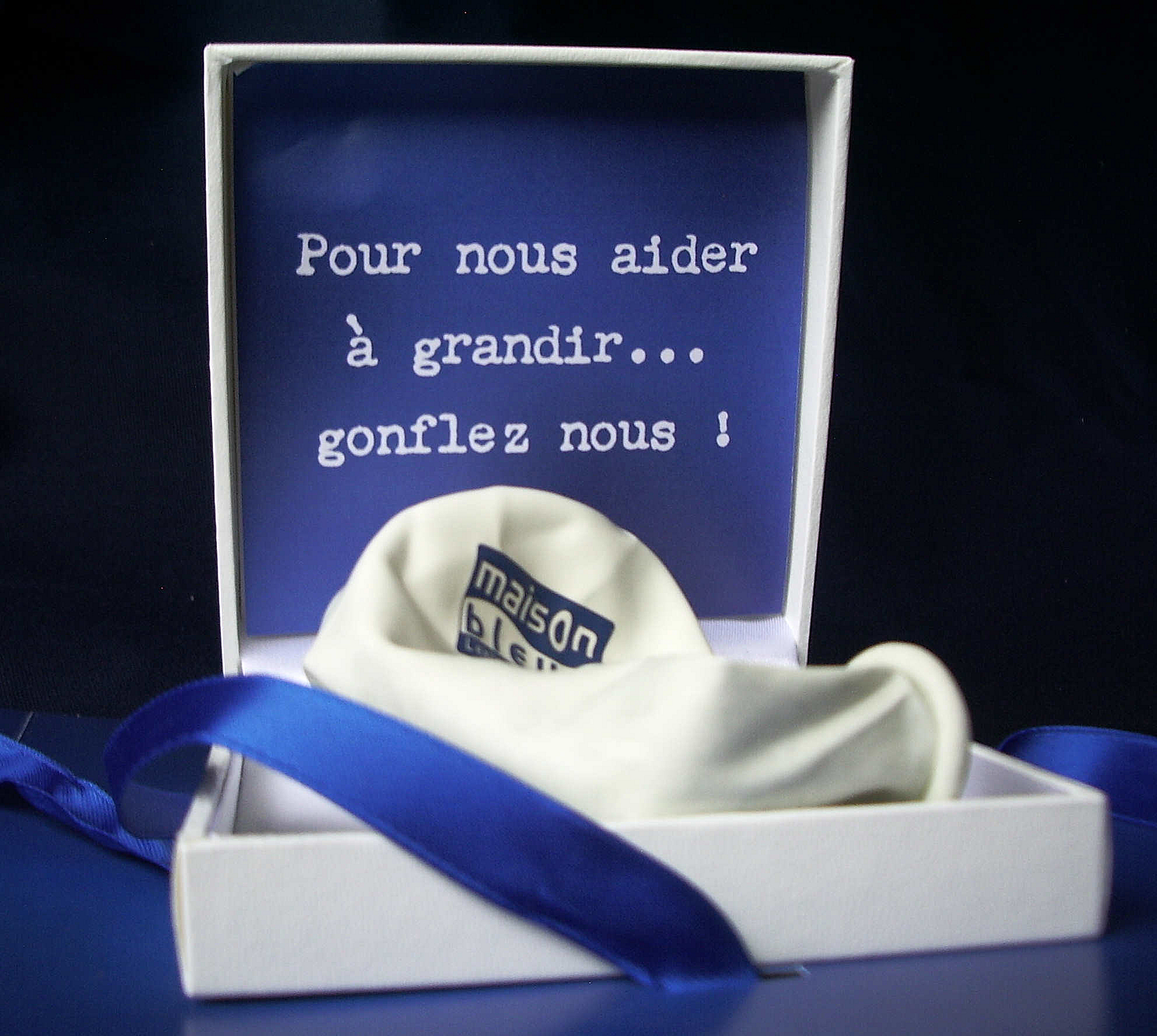 VOEUX MAISON BLEUE 2008