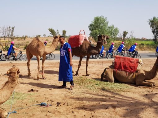 La Meule Bleue à Marrakech